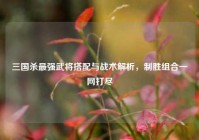 三国杀最强武将搭配与战术解析，制胜组合一网打尽