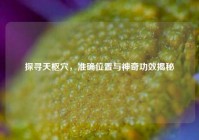 探寻天枢穴，准确位置与神奇功效揭秘