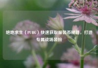 绝地求生（PUBG）快速获取服装币秘籍，打造专属战场装扮