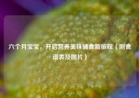 六个月宝宝，开启营养美味辅食新旅程（附食谱表及图片）