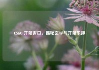 CSGO 开箱吉日，揭秘玄学与开箱乐趣