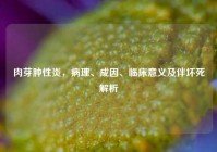 肉芽肿性炎，病理、成因、临床意义及伴坏死解析