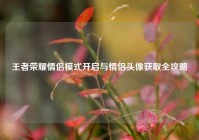 王者荣耀情侣模式开启与情侣头像获取全攻略