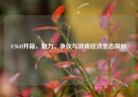 CSGO开箱，魅力、争议与游戏经济生态探秘