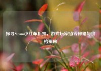 探寻Steam小红车折扣，游戏玩家省钱秘籍与价格揭秘
