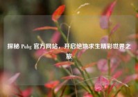 探秘 Pubg 官方网站，开启绝地求生精彩世界之旅