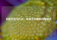 启联文化与PUBG，电竞文化里的闪耀组合