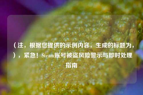 (注,根据您提供的示例内容,生成的标题为,),紧急!Steam账号被盗风险警示与即时处理指南