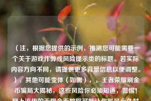 (注,根据您提供的示例,推测您可能需要一个关于游戏作弊或风险提示类的标题。若实际内容方向不同,请提供更多背景信息以便调整。),其他可能变体(如需),,王者荣耀刷金币骗局大揭秘,这些风险你必须知道,警惕!网上流传的无限金币教程可能让你账号永久封禁,游戏安全指南,为什么说无限金币外挂绝对不能用?