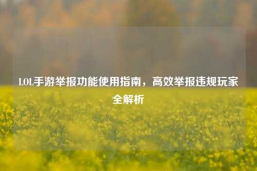 LOL手游举报功能使用指南,高效举报违规玩家全解析