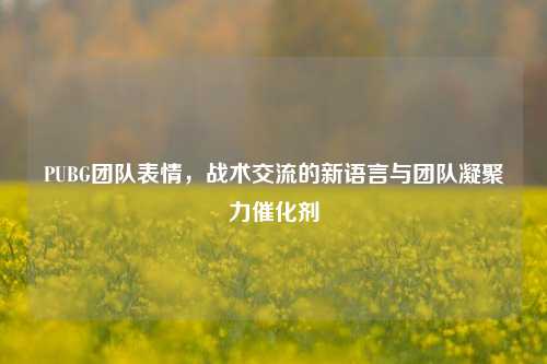 PUBG团队表情,战术交流的新语言与团队凝聚力催化剂