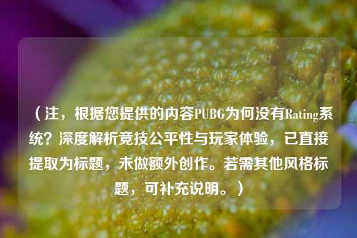 (注,根据您提供的内容PUBG为何没有Rating系统?深度解析竞技公平性与玩家体验,已直接提取为标题,未做额外创作。若需其他风格标题,可补充说明。)