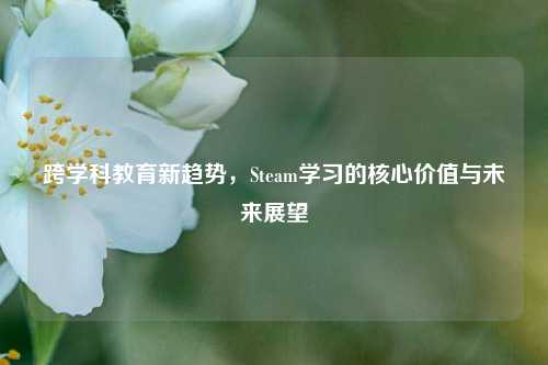 跨学科教育新趋势,Steam学习的核心价值与未来展望