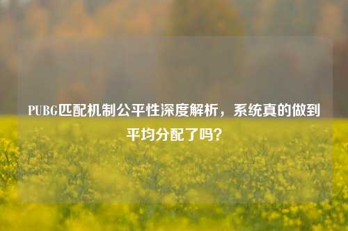 PUBG匹配机制公平性深度解析,系统真的做到平均分配了吗?