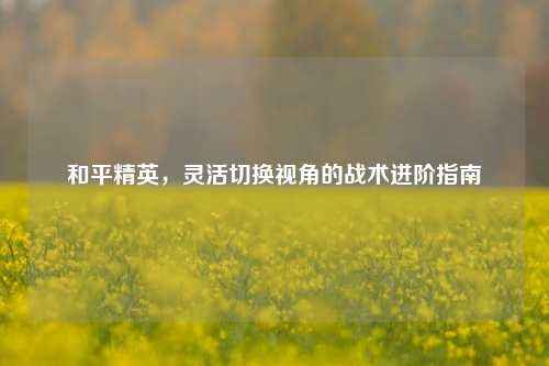 和平精英,灵活切换视角的战术进阶指南