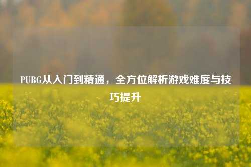 PUBG从入门到精通,全方位解析游戏难度与技巧提升