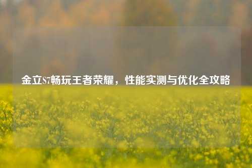 金立S7畅玩王者荣耀,性能实测与优化全攻略
