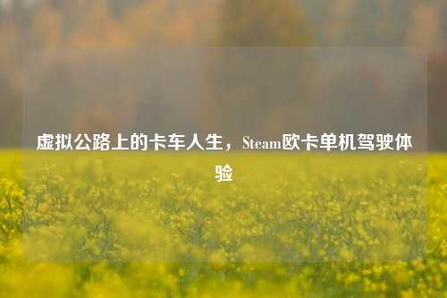 虚拟公路上的卡车人生,Steam欧卡单机驾驶体验