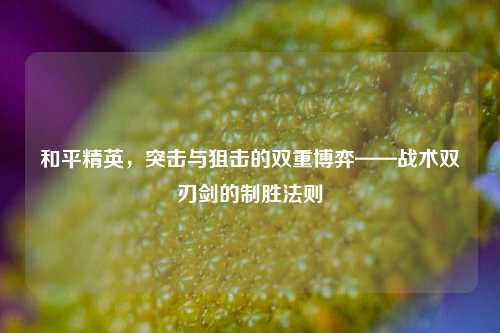 和平精英,突击与狙击的双重博弈——战术双刃剑的制胜法则