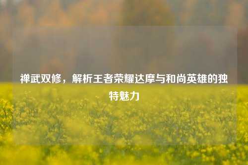 禅武双修,解析王者荣耀达摩与和尚英雄的独特魅力