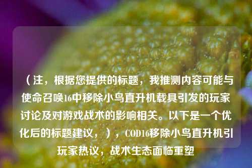 (注,根据您提供的标题,我推测内容可能与使命召唤16中移除小鸟直升机载具引发的玩家讨论及对游戏战术的影响相关。以下是一个优化后的标题建议,),COD16移除小鸟直升机引玩家热议,战术生态面临重塑