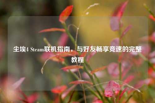 尘埃4 Steam联机指南,与好友畅享竞速的完整教程