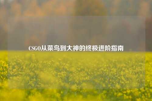 CSGO从菜鸟到大神的终极进阶指南