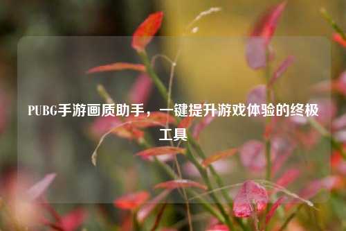 PUBG手游画质助手,一键提升游戏体验的终极工具