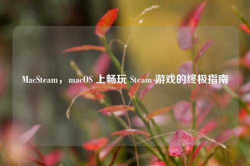 MacSteam,macOS 上畅玩 Steam 游戏的终极指南