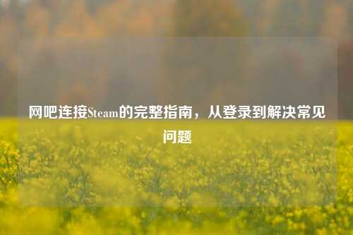 网吧连接Steam的完整指南,从登录到解决常见问题