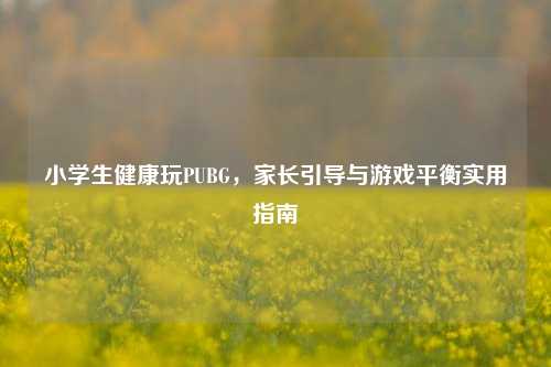 小学生健康玩PUBG,家长引导与游戏平衡实用指南