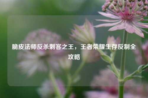 脆皮法师反杀刺客之王,王者荣耀生存反制全攻略