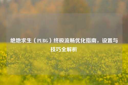 绝地求生(PUBG)终极流畅优化指南,设置与技巧全解析