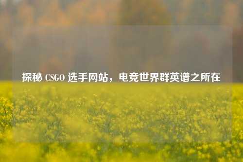 探秘 CSGO 选手网站,电竞世界群英谱之所在