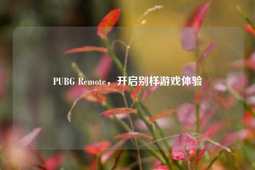 PUBG Remote,开启别样游戏体验