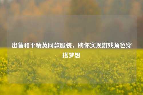 出售和平精英同款服装,助你实现游戏角色穿搭梦想