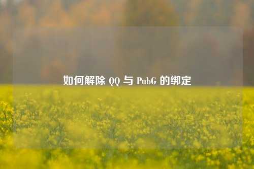 如何解除 与 PubG 的绑定