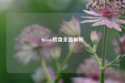 Steam格盘全面解析