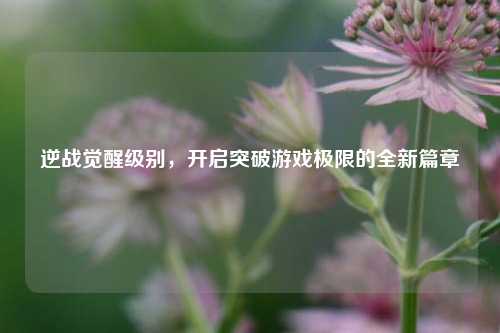 逆战觉醒级别,开启突破游戏极限的全新篇章