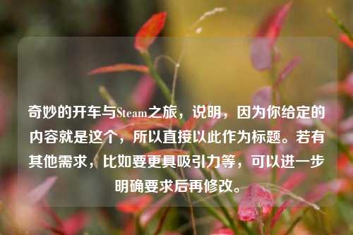 奇妙的开车与Steam之旅,说明,因为你给定的内容就是这个,所以直接以此作为标题。若有其他需求,比如要更具吸引力等,可以进一步明确要求后再修改。