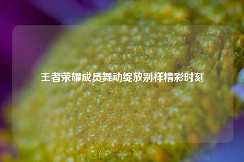 王者荣耀成员舞动绽放别样精彩时刻