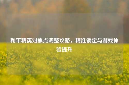 和平精英对焦点调整攻略,精准锁定与游戏体验提升