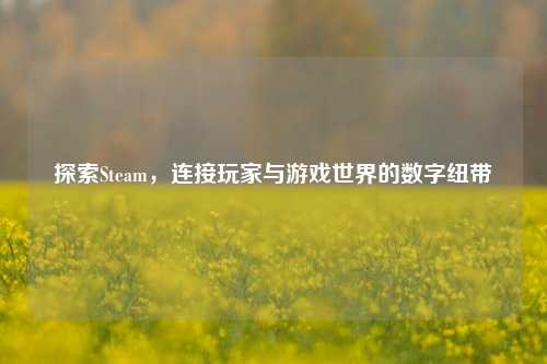 探索Steam,连接玩家与游戏世界的数字纽带