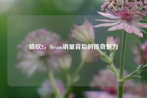 骑砍2,Steam销量背后的传奇魅力
