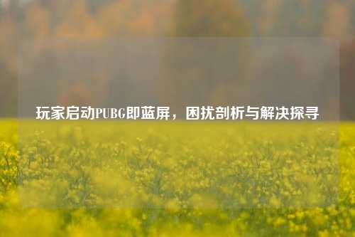 玩家启动PUBG即蓝屏,困扰剖析与解决探寻