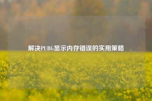 解决PUBG显示内存错误的实用策略