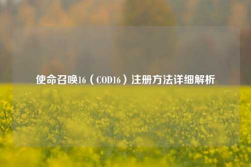 使命召唤16（COD16）注册     详细解析