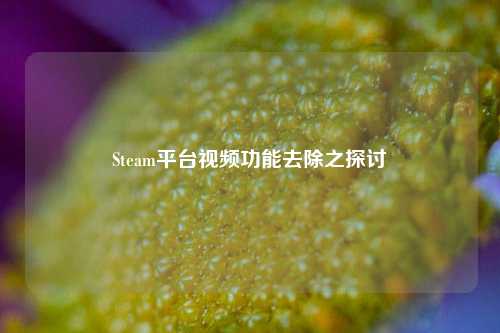 Steam平台视频功能去除之探讨