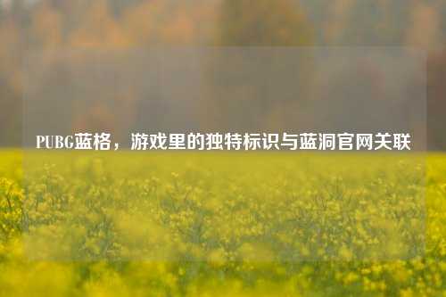 PUBG蓝格,游戏里的独特标识与蓝洞官***联