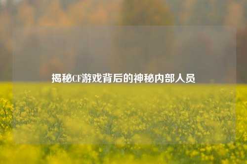 揭秘CF游戏背后的神秘内部人员